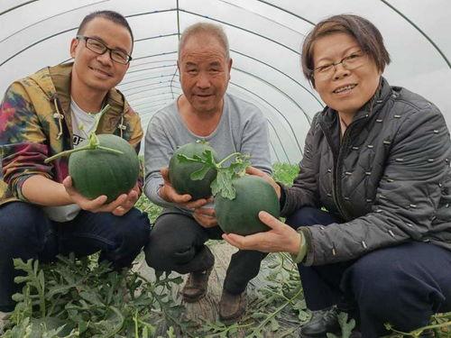 黑瓜吃料入口在哪里,探寻美味之源